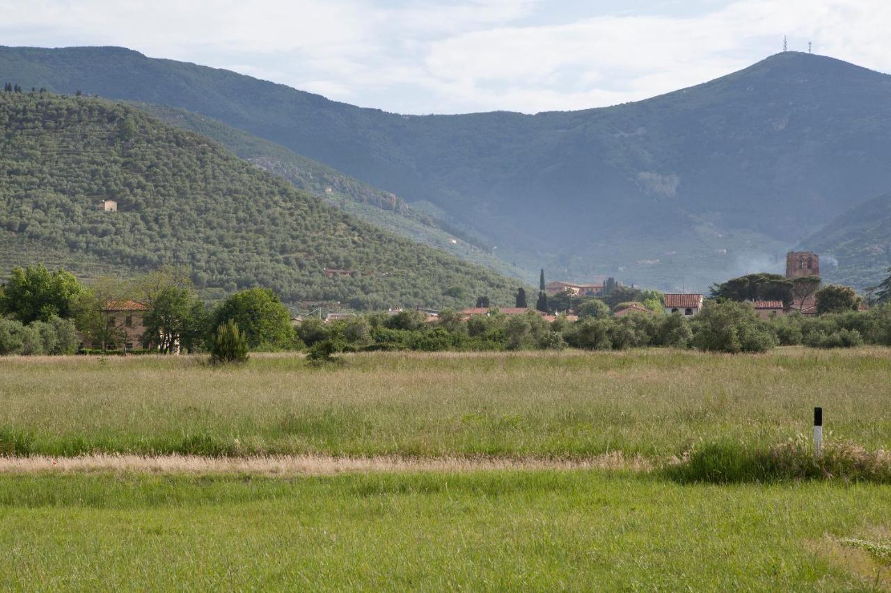 Agriturismo Villa Rosselmini Calci Ngoại thất bức ảnh