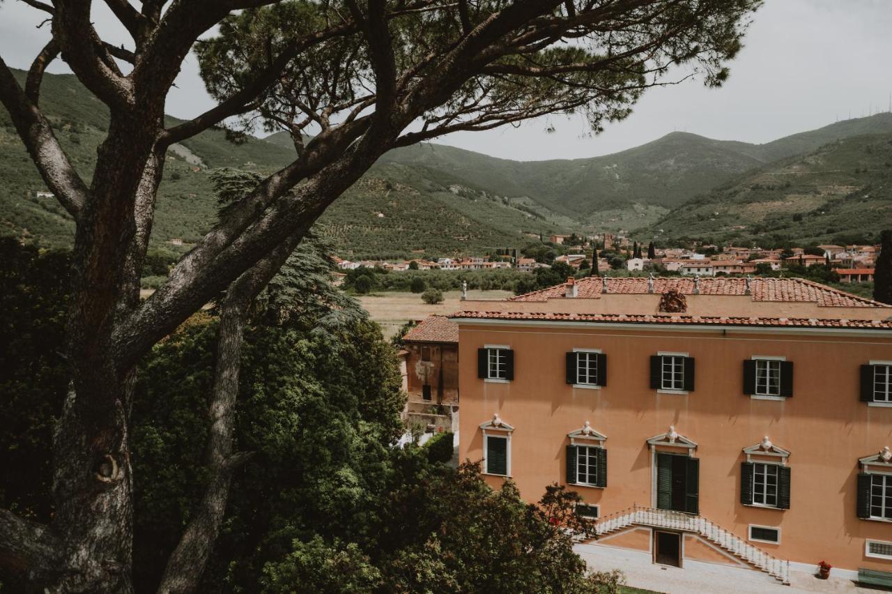 Agriturismo Villa Rosselmini Calci Ngoại thất bức ảnh